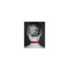 Collier en cuir rouge SM avec anneau métal argenté pour laisse 